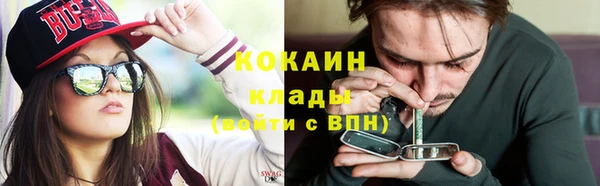 шишки Ладушкин