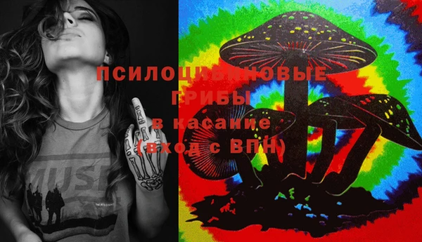 шишки Ладушкин