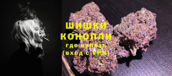 шишки Ладушкин
