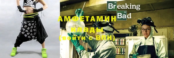 шишки Ладушкин