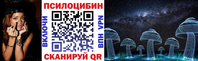 Купить закладки  Киреевск  Псилоцибиновые грибы мицелий 